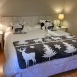 Apartamento Superior El Cervol ( 2 pax )