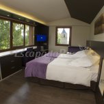 Habitación doble básica