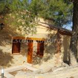 Casa del Bosch 2