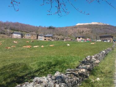 Aldea Rural O Busto (Lugo) Aldea Rural O Busto (Lugo)