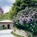 Casa completa