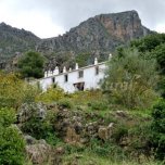 Palomar