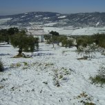 Casa Rural Elaia