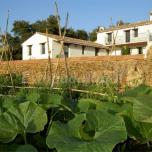 Apartamento 7