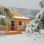Las Viñas 2 o Casa del vino