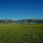 Casa Rural
