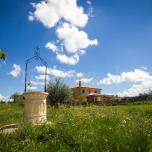 Mirasierra de Valdecarpinteros