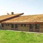El Pinsapo de Pedraza