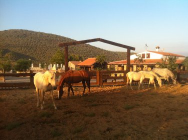Hotel Rural Finca la Herencia (Sevilla) Hotel Rural Finca la Herencia (Sevilla)