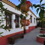Casa completa