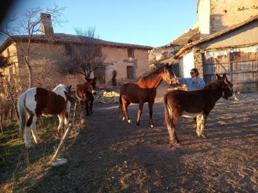 Casa Rural Chulilla (Teruel) Casa Rural Chulilla (Teruel)