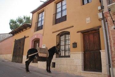 La Pepita (Valladolid) La Pepita (Valladolid)