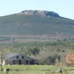 Los Rigueros (Casa Completa)
