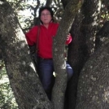 María