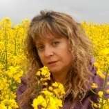 Pilar