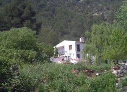 alcala del jucar nochevieja