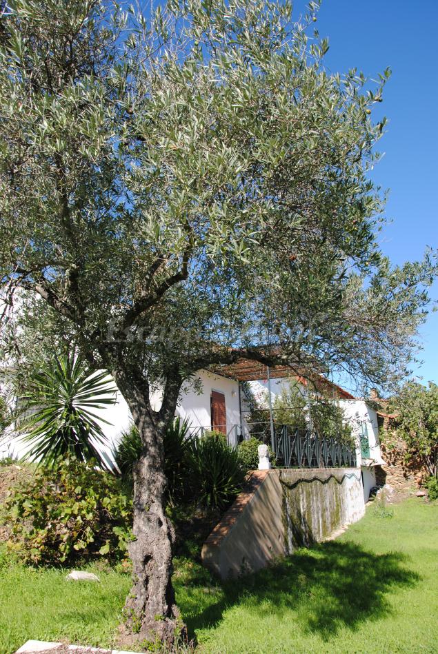 Casas Rurales En Zalamea La Real Huelva