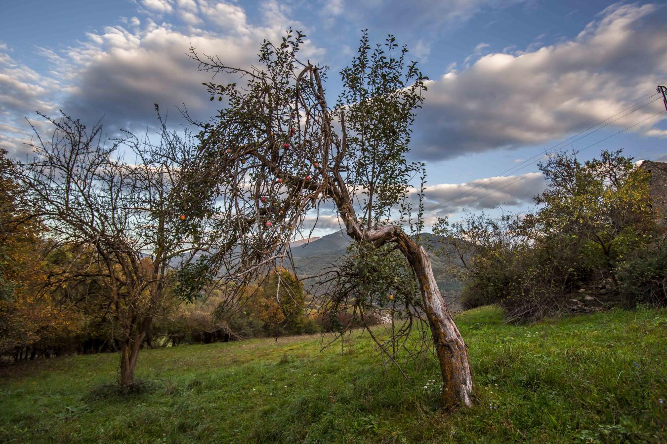 Fotos de Casa Arana - Casa rural en Fiscal (Huesca)