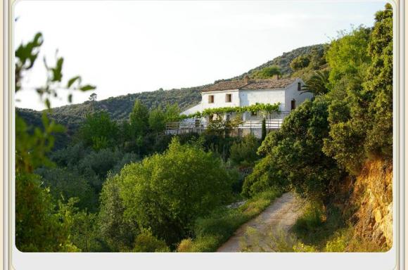 Foto de Cortijo Luis y Dolores en Sorihuela del Guadalimar, Jaén