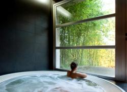 Casa SPA Hijos Dalgo en Crecente