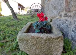 Recuperación de lo tradicional