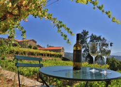 A Pampla em: A Cañiza