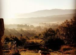 A Pampla em: A Cañiza